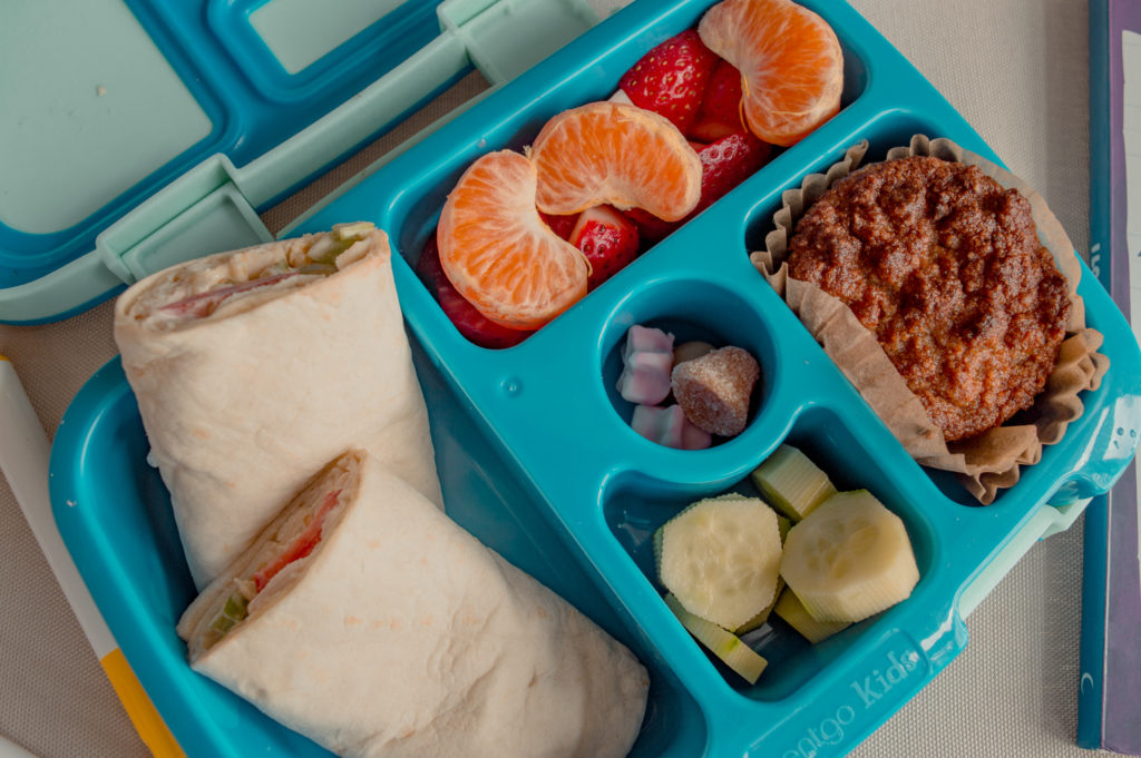 school lunch tips, picky eater lunch ideas, school lunch, balanced school lunch
